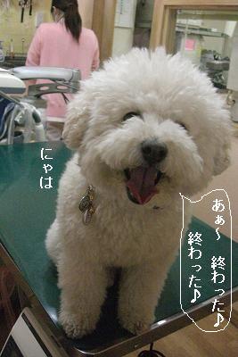画像 360.jpg