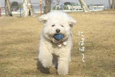 画像 363.jpg