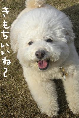 画像 364.jpg