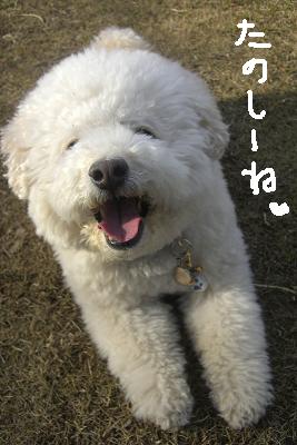 画像 365.jpg
