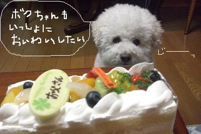 画像 368.jpg