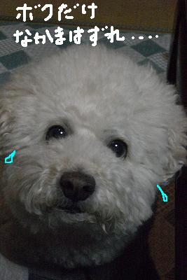 画像 369.jpg