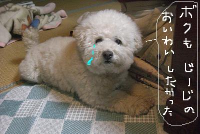 画像 370.jpg