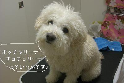 画像 373.jpg