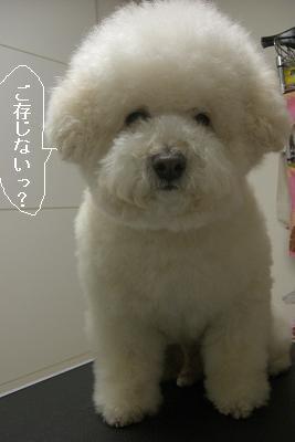 画像 374.jpg