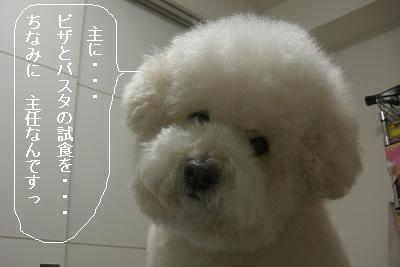 画像 376.jpg