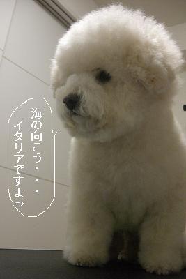 画像 377.jpg