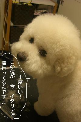 画像 384.jpg