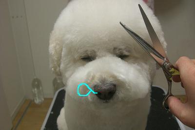 画像 388.jpg