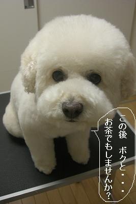 画像 390.jpg