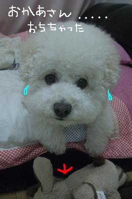 画像 404.jpg