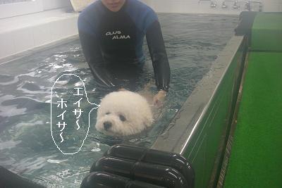 画像 406.jpg