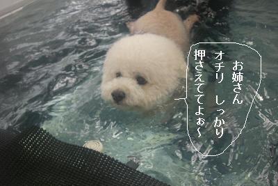 画像 407.jpg