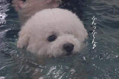 画像 410.jpg