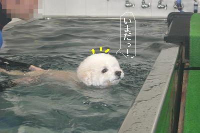 画像 411.jpg
