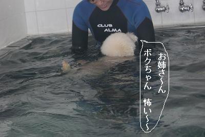 画像 412.jpg