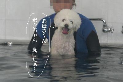 画像 413.jpg