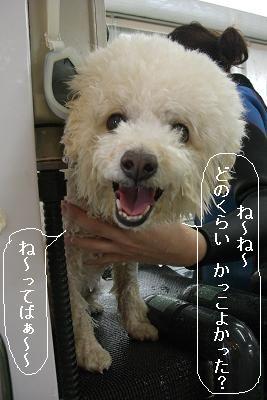 画像 418.jpg