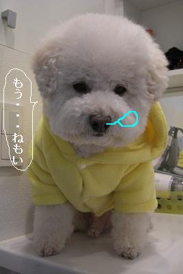 画像 423.jpg
