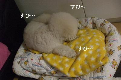 画像 426.jpg