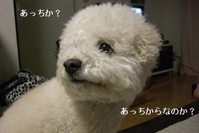画像 433.jpg
