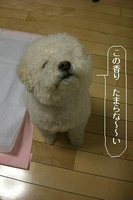画像 438.jpg