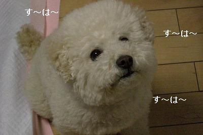 画像 441.jpg