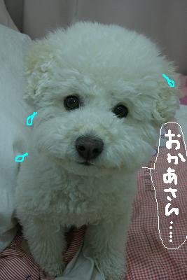 画像 449.jpg