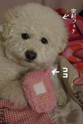 画像 454.jpg