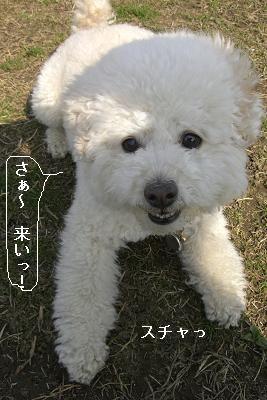 画像 455.jpg