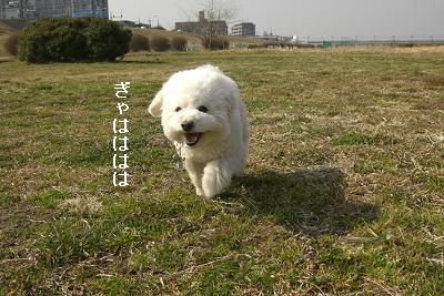 画像 458.jpg