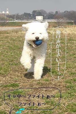 画像 465.jpg