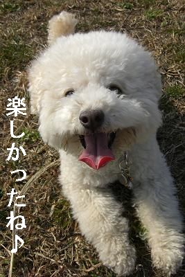 画像 475.jpg