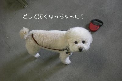 画像 478.jpg