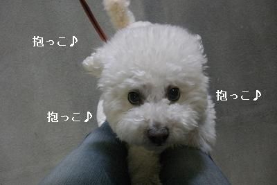 画像 480.jpg