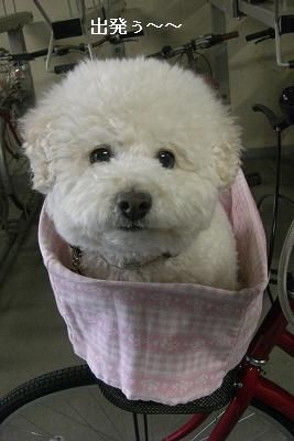 画像 481.jpg