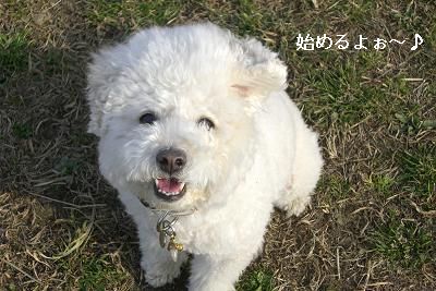 画像 482.jpg