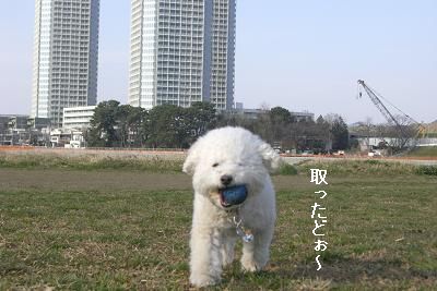 画像 487.jpg