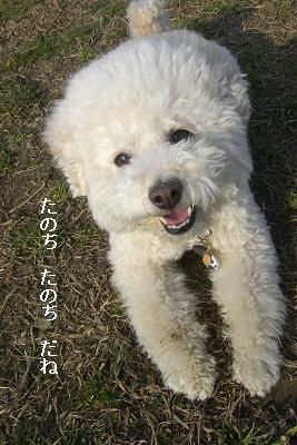 画像 488.jpg