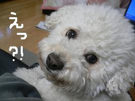 画像 6099.jpg