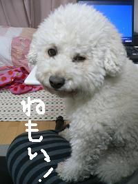 画像 6100.jpg