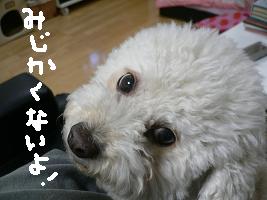 画像 6101.jpg