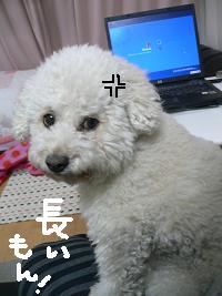 画像 6104.jpg