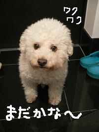 画像 6108.jpg