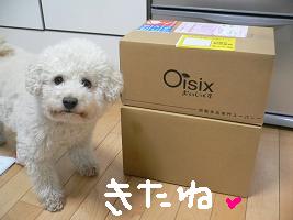 画像 6110.jpg