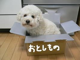 画像 6114.jpg