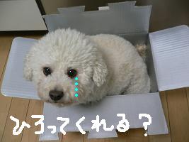 画像 6115.jpg