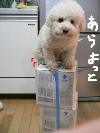 画像 6118.jpg