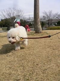 画像 6128.jpg