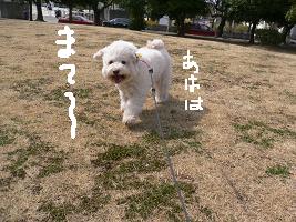 画像 6129.jpg